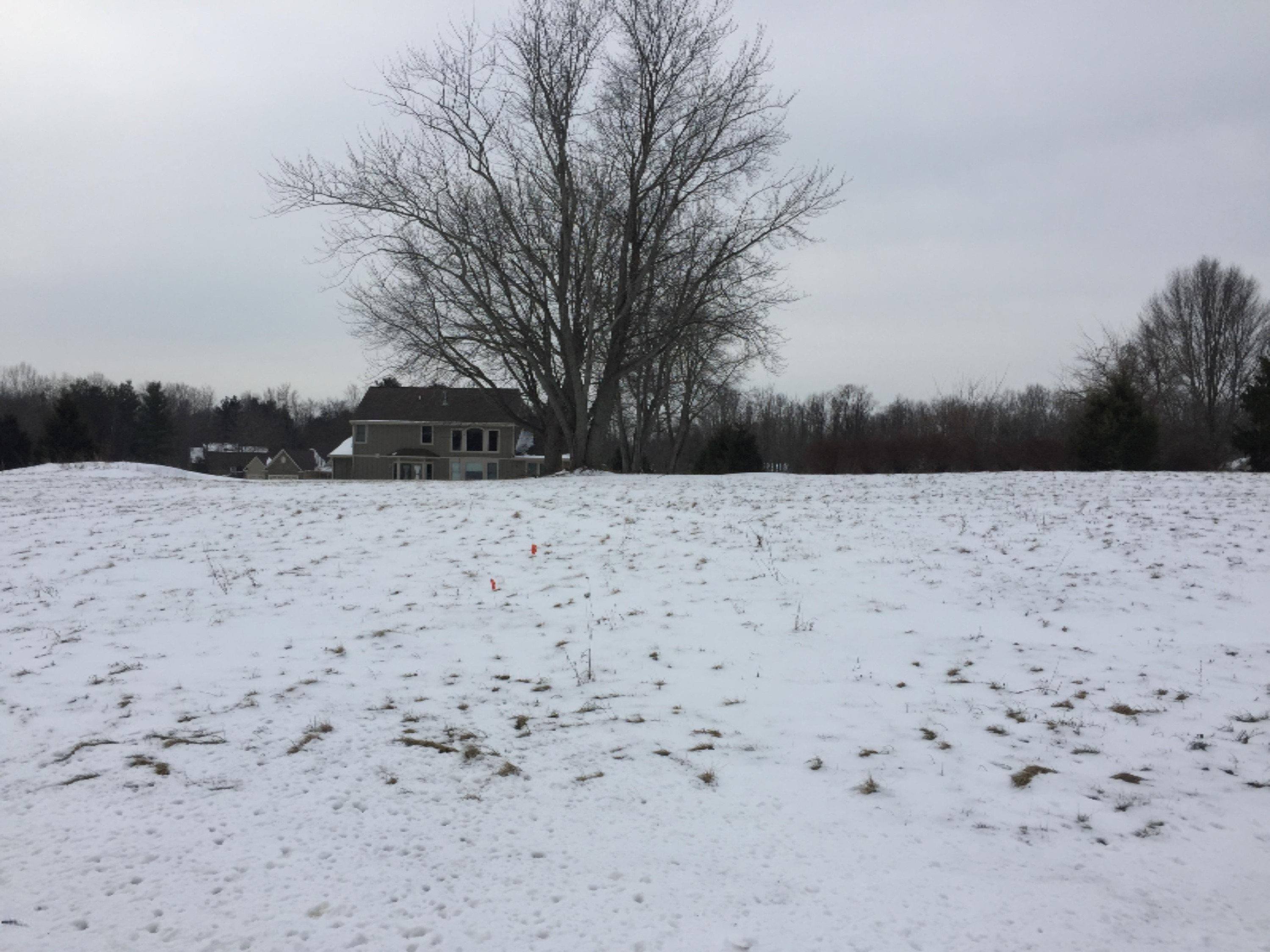 1764 Fox Ridge Trail St. Joseph, MI 49085 - Photo 5 of 5 IMG_2984