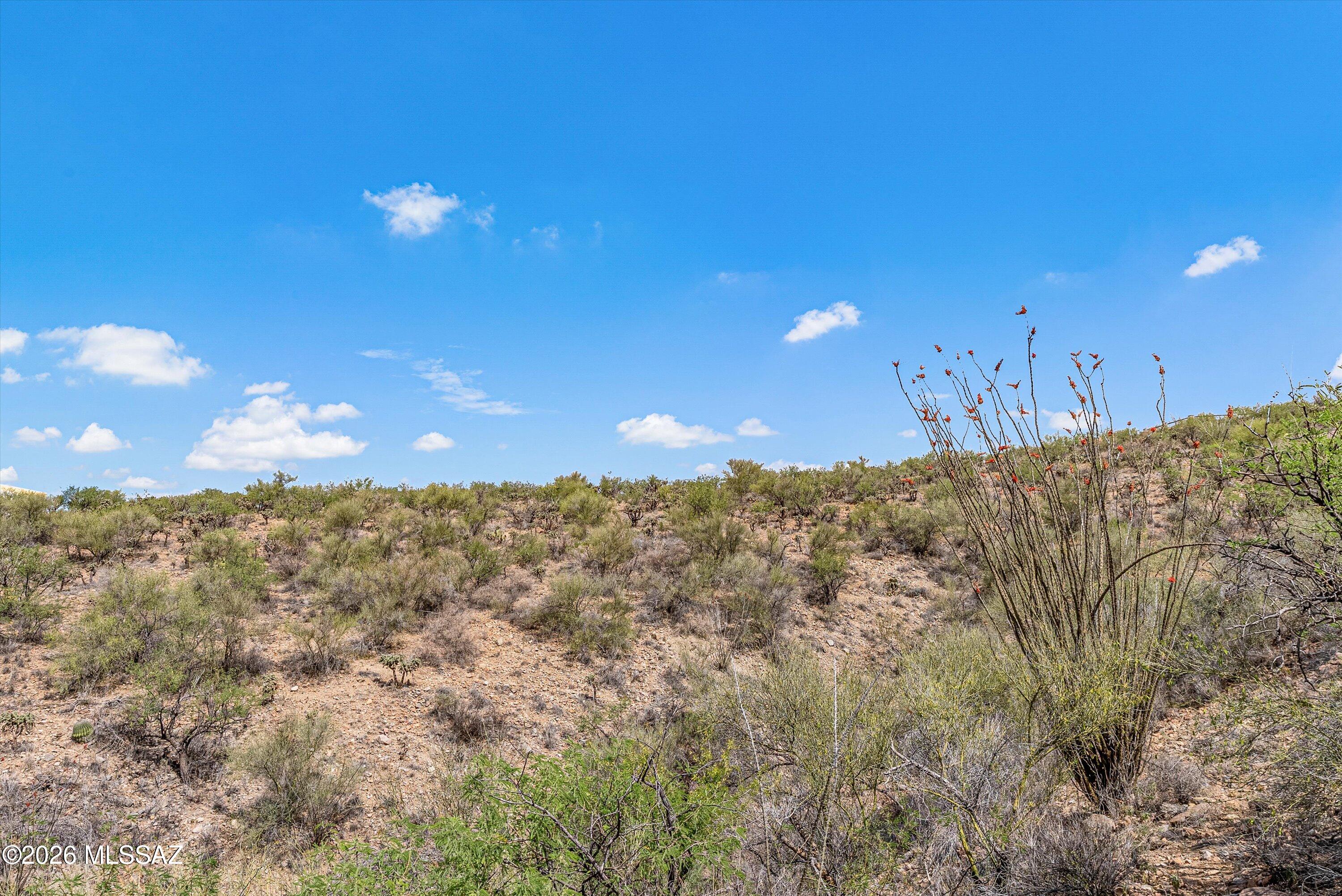 1573 Furel Court, Unit 17 Rio Rico, AZ 85648 - Photo 4 of 32 28-121177251