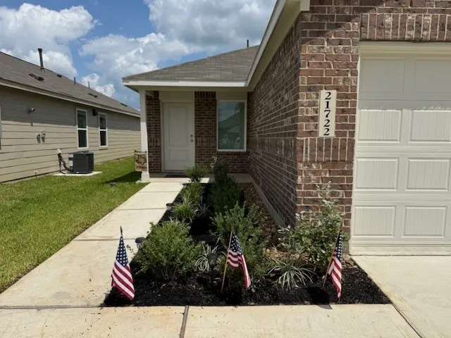 a view of backyard with potted plants