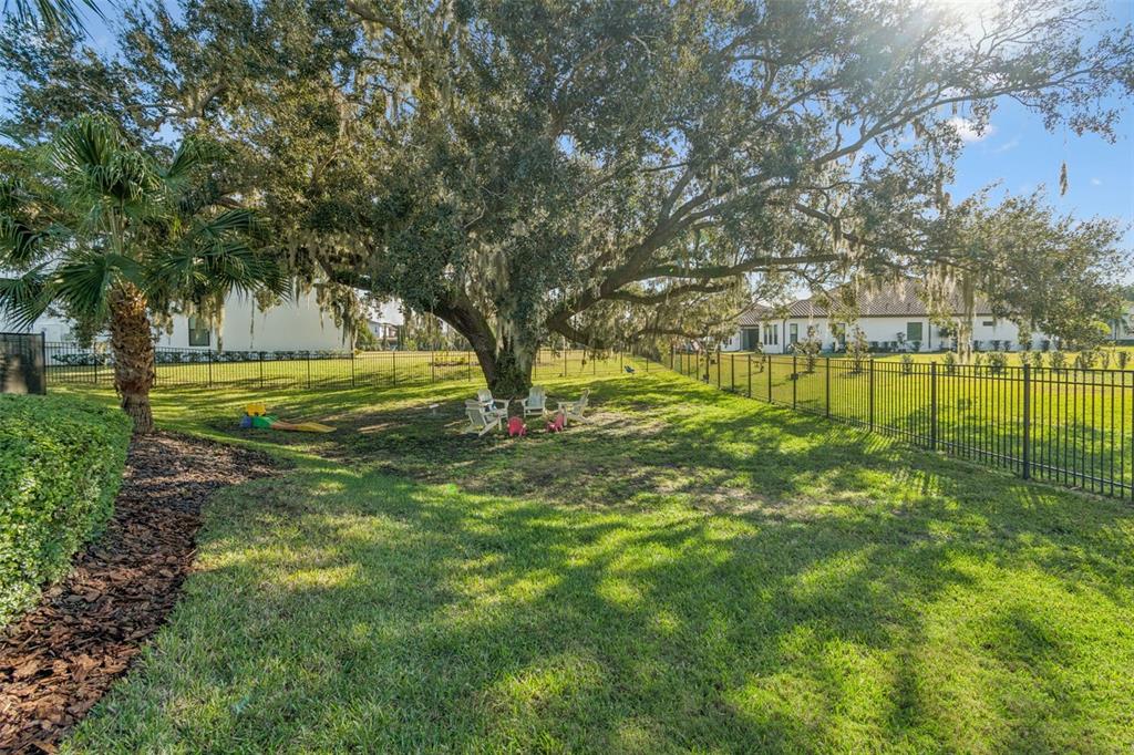 2519 Cordoba Ranch Boulevard Lutz, FL 33559 - Photo 59 of 77 a view of a yard with a tree