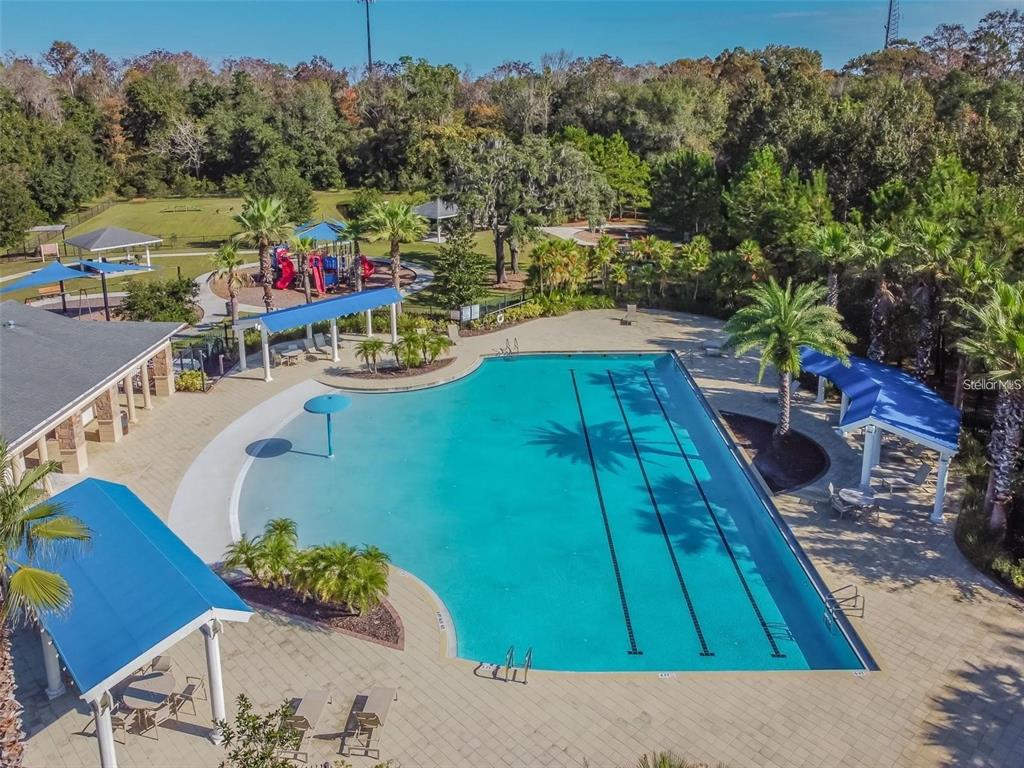 2519 Cordoba Ranch Boulevard Lutz, FL 33559 - Photo 75 of 77