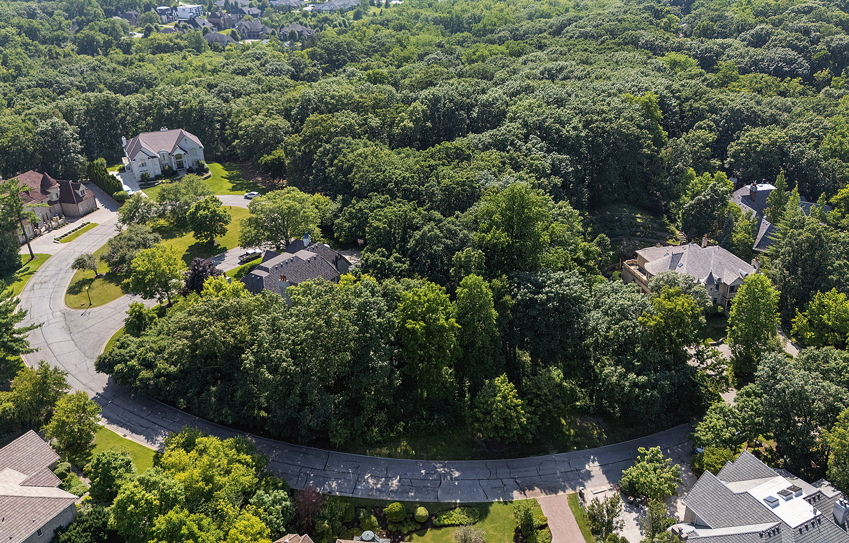 9620 Pacific Court Burr Ridge, IL 60527 - Photo 15 of 25