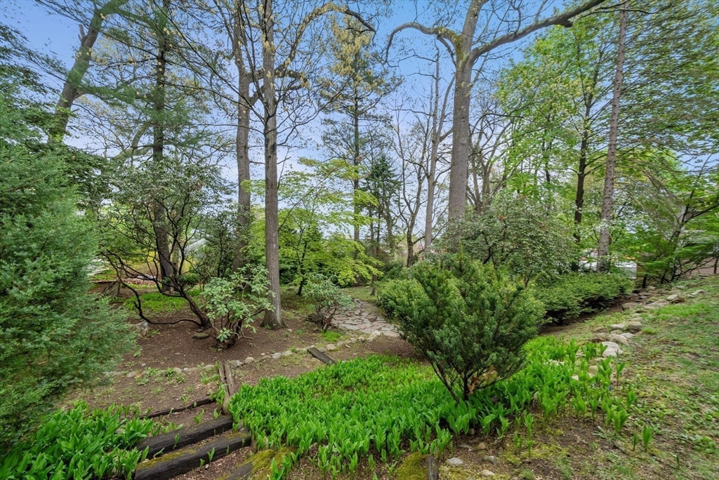 66 Windmill Lane Arlington, MA 02474 - Photo 29 of 33