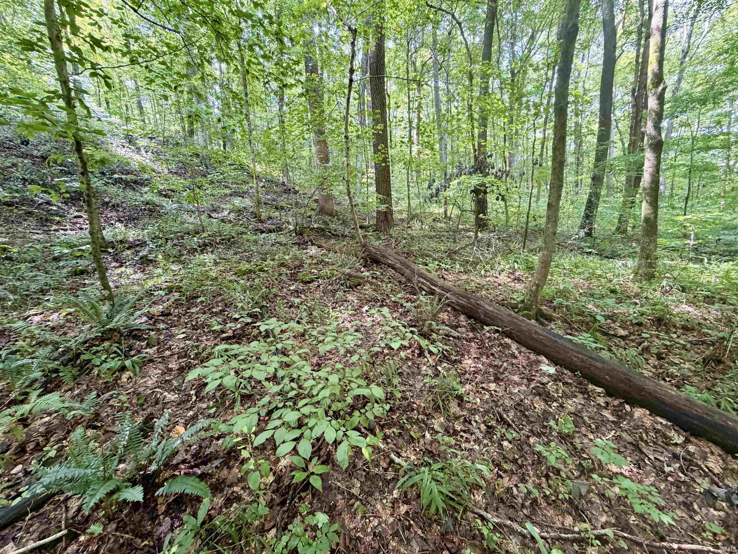 Off Candlestick Road Bristow, IN 47515 - Photo 24 of 30