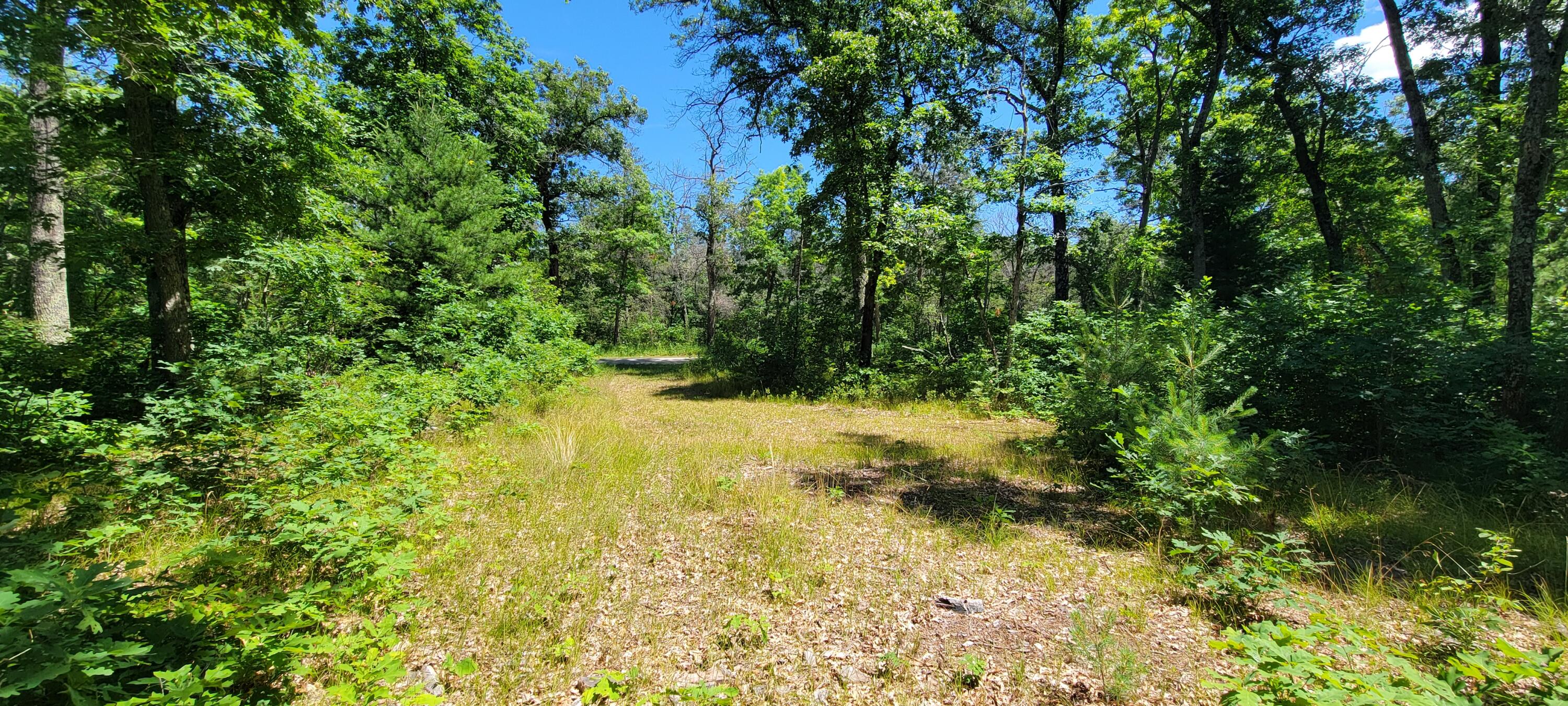 4735 South Astor Road Baldwin, MI 49304 - Photo 21 of 33 20250718_143317