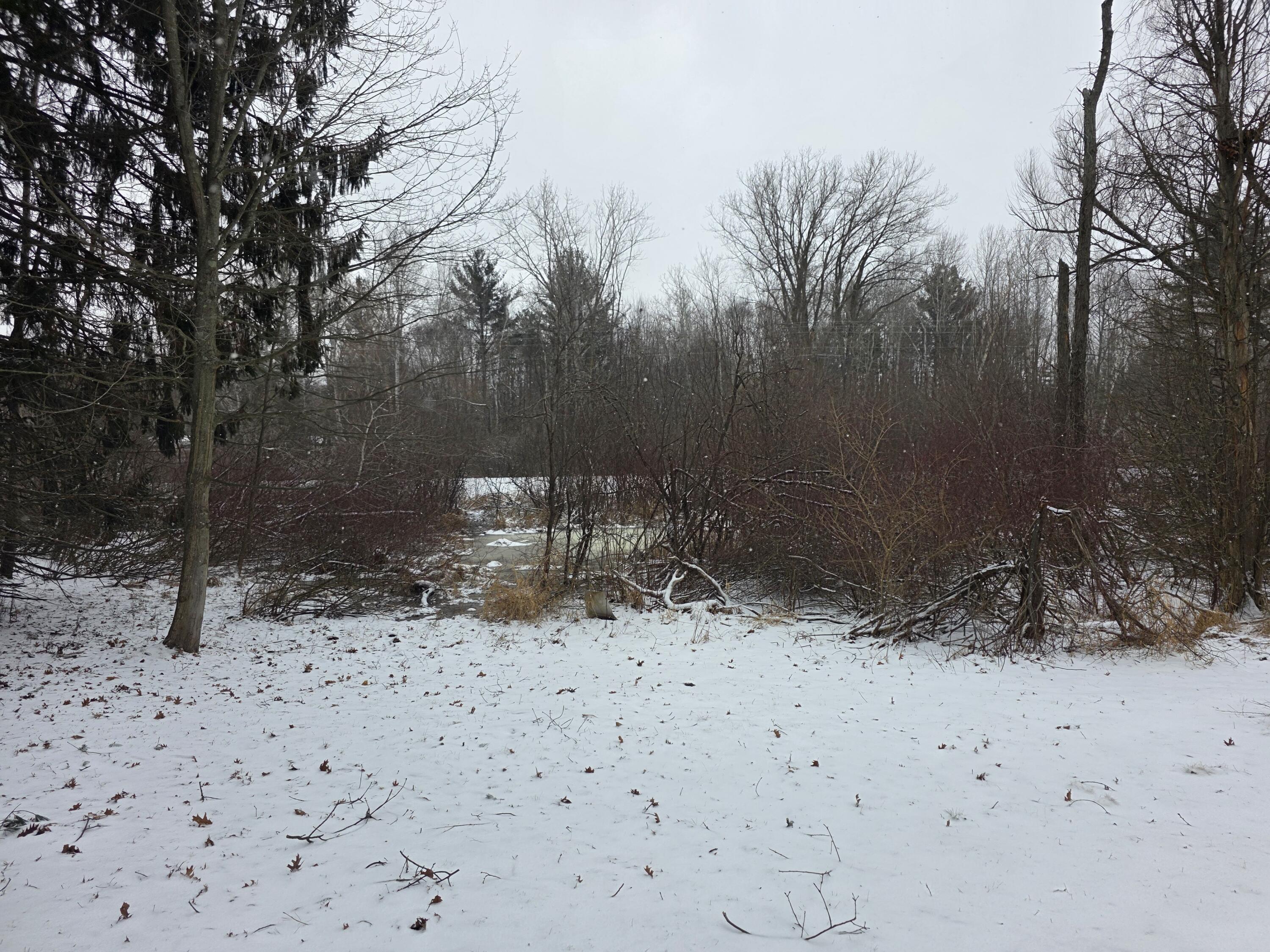 7107 West Webster Road Montague, MI 49437 - Photo 49 of 55 1000023016