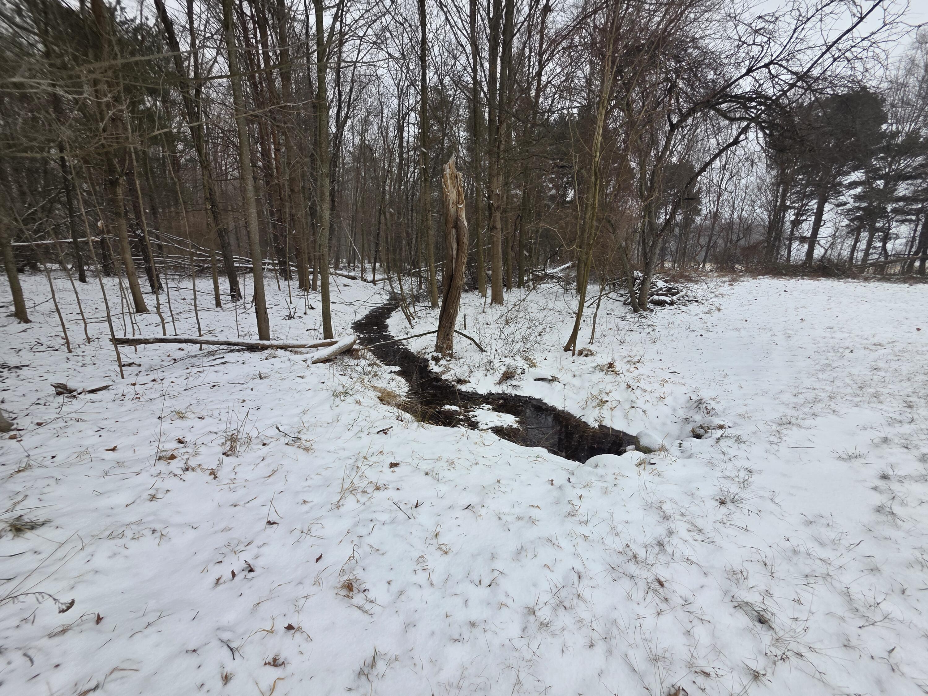 7107 West Webster Road Montague, MI 49437 - Photo 51 of 55 1000023007