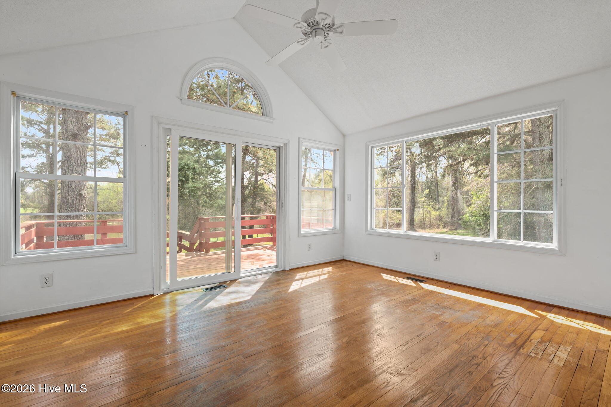 343 Carthage Road West End, NC 27376 - Photo 22 of 46 21-web-or-mls-DSC09781