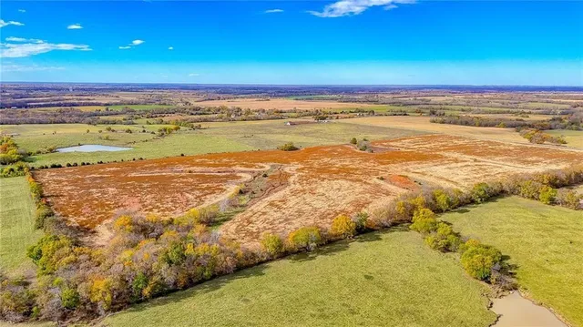 $1,500,000 | 690 Southwest 58th Highway, Centerview, MO 64019