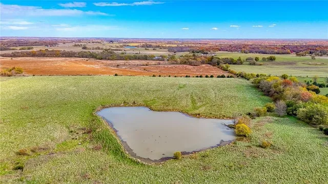 $1,500,000 | 690 Southwest 58th Highway, Centerview, MO 64019