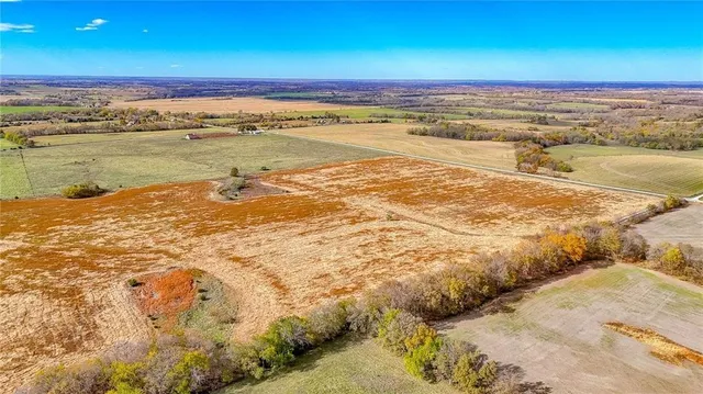 $1,500,000 | 690 Southwest 58th Highway, Centerview, MO 64019