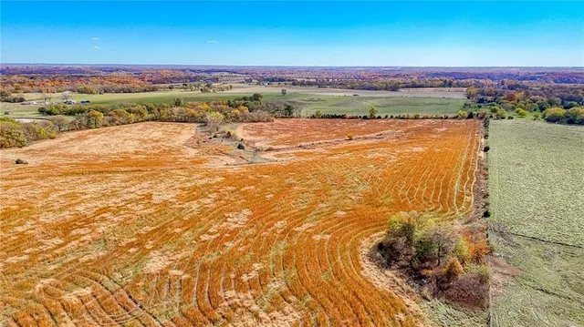 $1,500,000 | 690 Southwest 58th Highway, Centerview, MO 64019