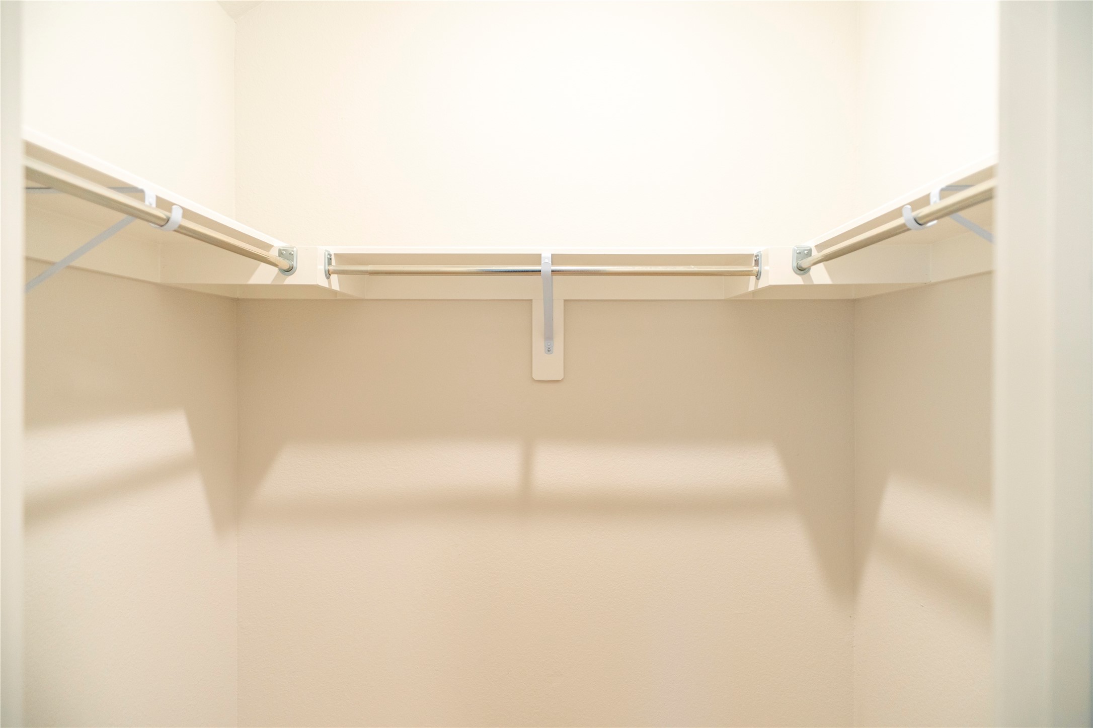 6519 Bramble Cv Lane Fulshear, TX 77441 - Photo 18 of 29 a close view of cupboard