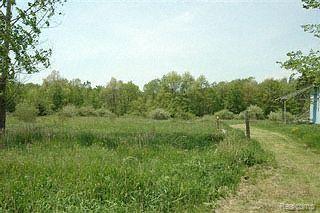 411 Argentine Road Howell, MI 48843 - Photo 1 of 1 This could be yours!