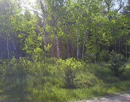 1460 North 5 Road Mesick, MI 49668 - Photo 18 of 19 Photo 18