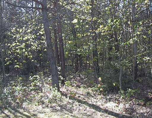 1460 North 5 Road Mesick, MI 49668 - Photo 19 of 19 Photo 19