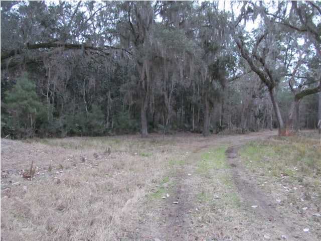 1 Sunset Point Point Vernon, FL 32462 - Photo 3 of 3 a view of backyard with large trees