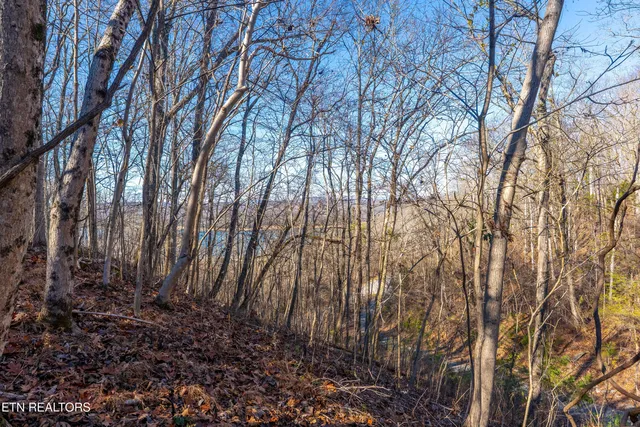 $39,000 | 919 Sparrow Way, Sharps Chapel, TN 37866