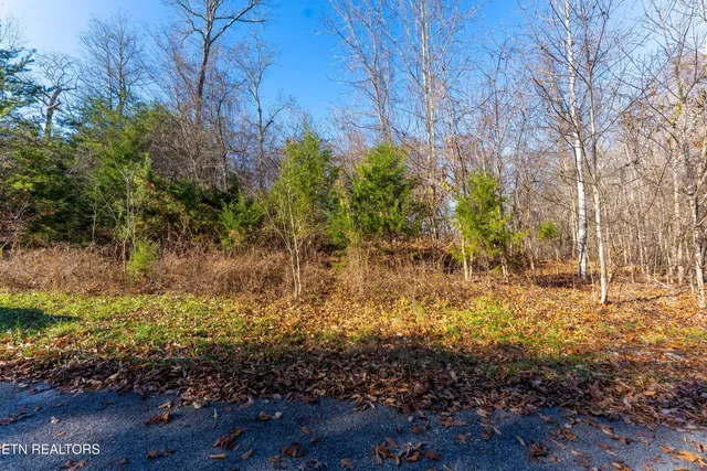 $39,000 | 919 Sparrow Way, Sharps Chapel, TN 37866