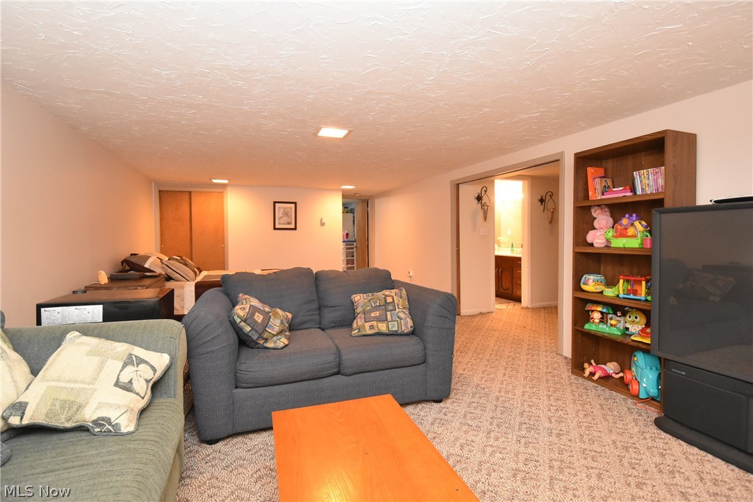 40134 Parsons Road Lagrange, OH 44050 - Photo 19 of 26 Gallery Image 19