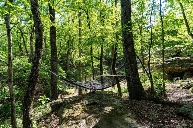 $1,575,000 | 314 Fairy Trail, Lookout Mountain, TN 37350
