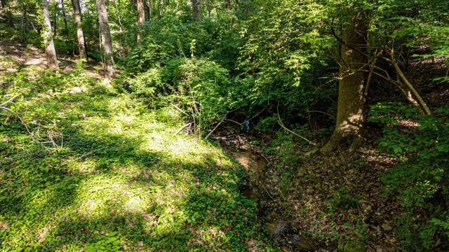 $1,575,000 | 314 Fairy Trail, Lookout Mountain, TN 37350