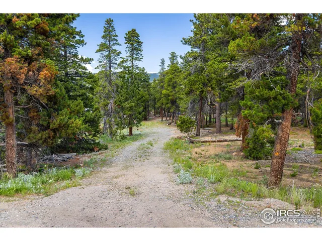 $375,000 | 24333 Peak To Peak Highway, Nederland, CO 80466