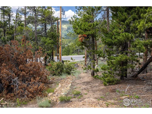 $375,000 | 24333 Peak To Peak Highway, Nederland, CO 80466