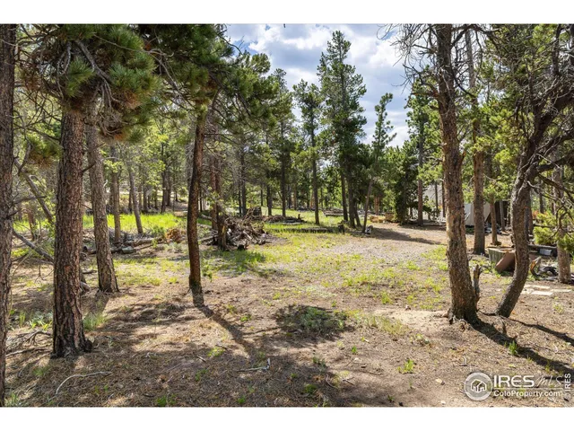 $375,000 | 24333 Peak To Peak Highway, Nederland, CO 80466