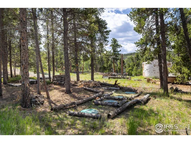 $375,000 | 24333 Peak To Peak Highway, Nederland, CO 80466