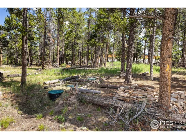 $375,000 | 24333 Peak To Peak Highway, Nederland, CO 80466