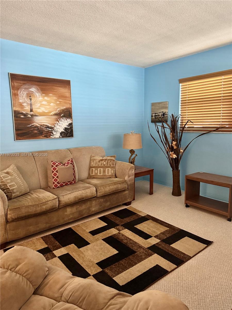 3500 Harrison Street, Unit 7 Hollywood, FL 33021 - Photo 46 of 66 a living room with furniture and a rug
