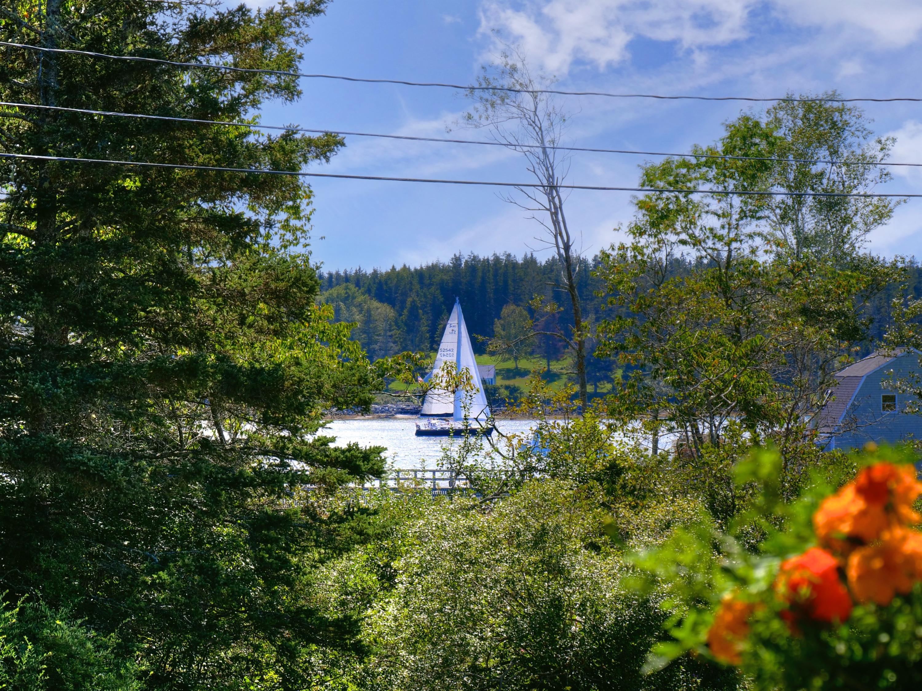 123 Horse Point Road Tenants Harbor, ME 04860 - Photo 31 of 34 _1055223_4_5_6_7_8_9_Enhancer - Sky Repl