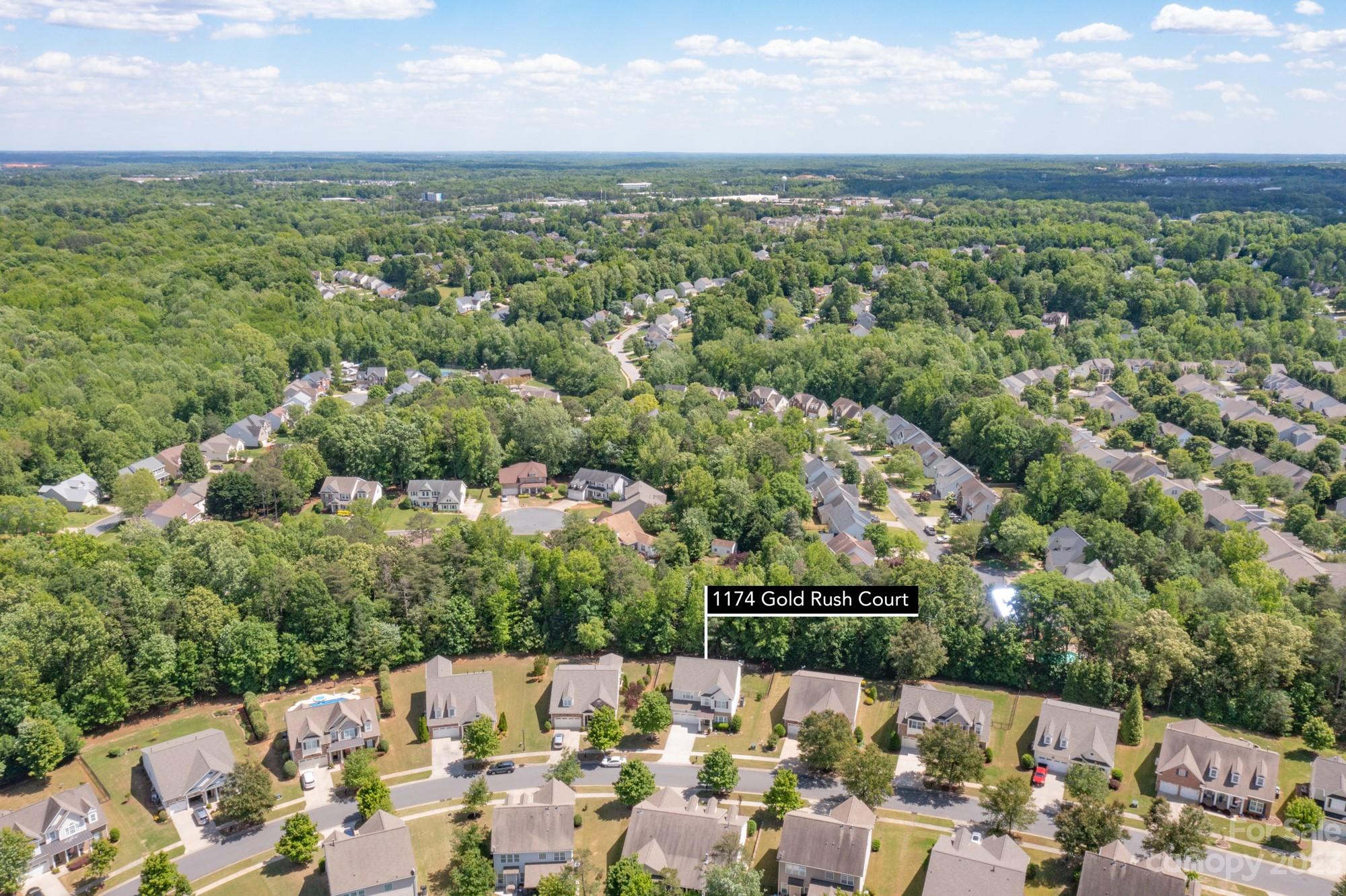 1174 Gold Rush Court Fort Mill, SC 29708 - Photo 5 of 42 Gallery Image 5