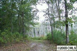 906 B Polson Road Camden, SC 29020 - Photo 5 of 8 Gallery Image 5