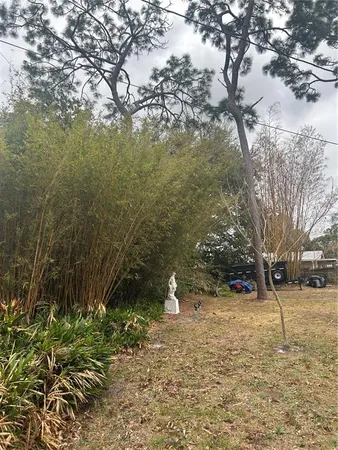 a front view of house with yard and trees