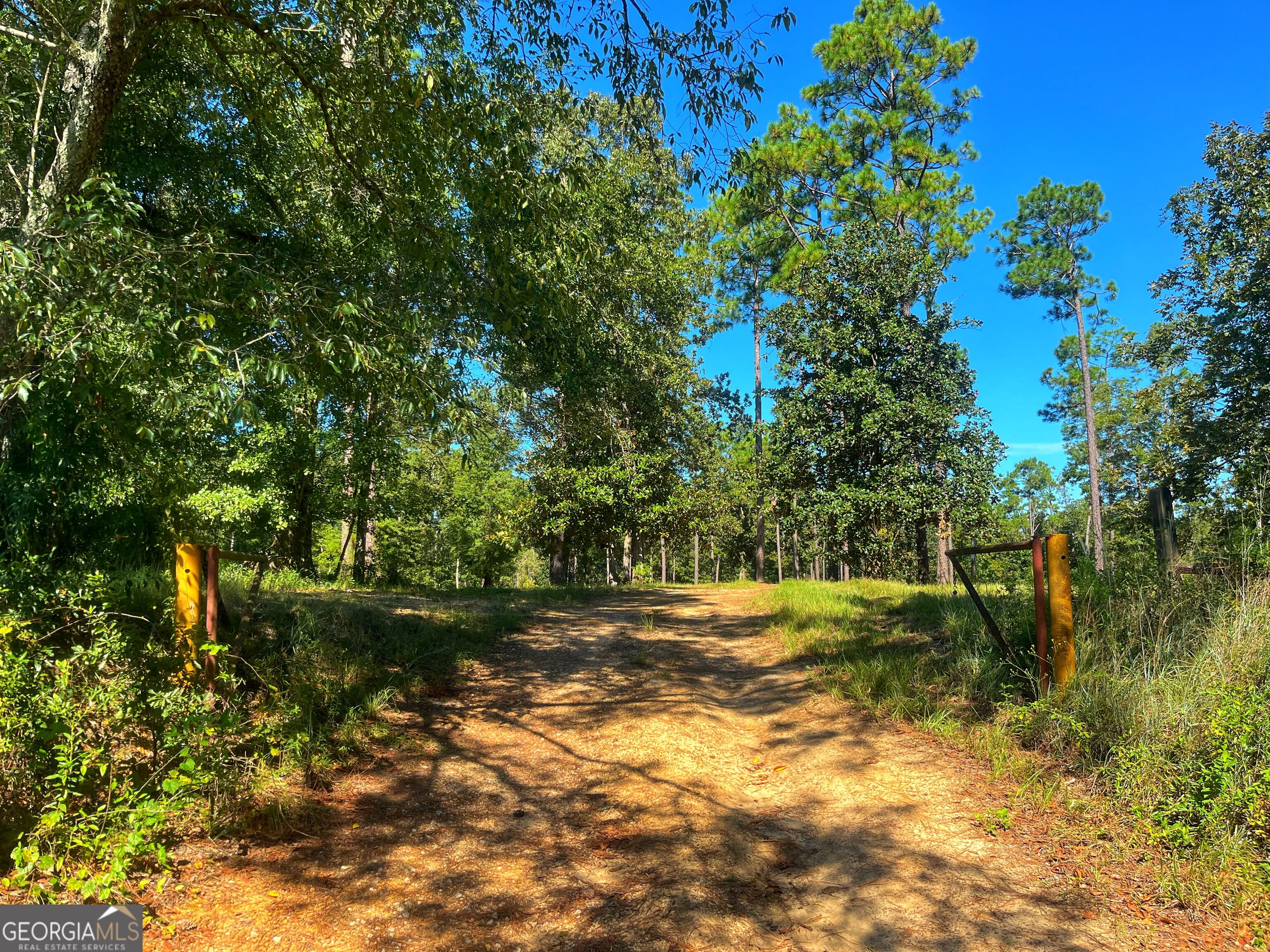 490 Murray Road Bainbridge, GA 39819 - Photo 3 of 67 Gallery Image 3