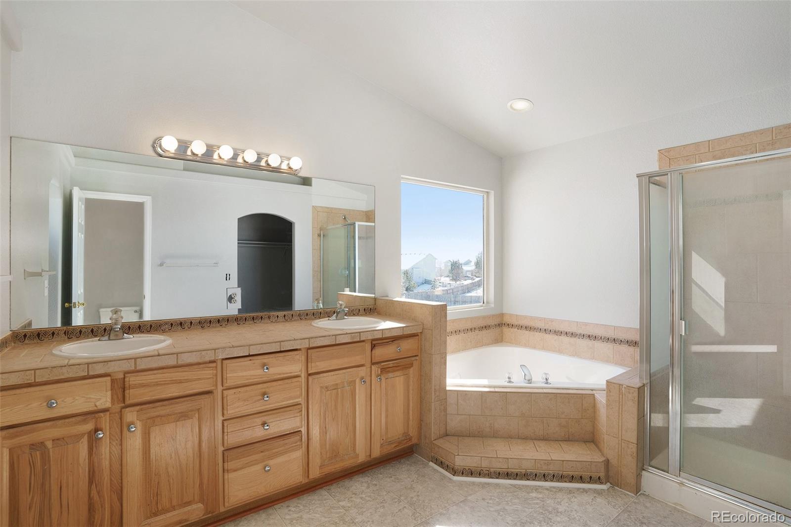 11949 Rio Secco Road Peyton, CO 80831 - Photo 6 of 19 a spacious bathroom with a granite countertop sink mirror and bathtub