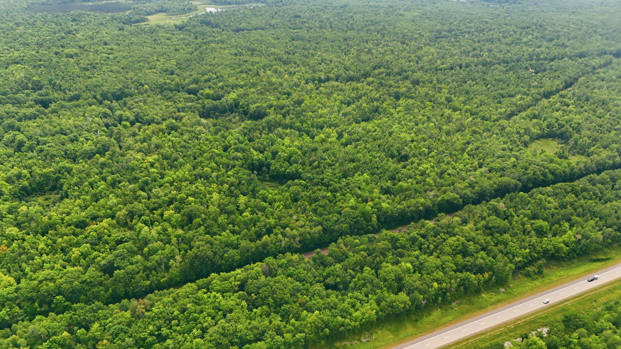Tbd Taylor Birch Road Hinckley, MN 55037 - Photo 6 of 18 Gallery Image 6