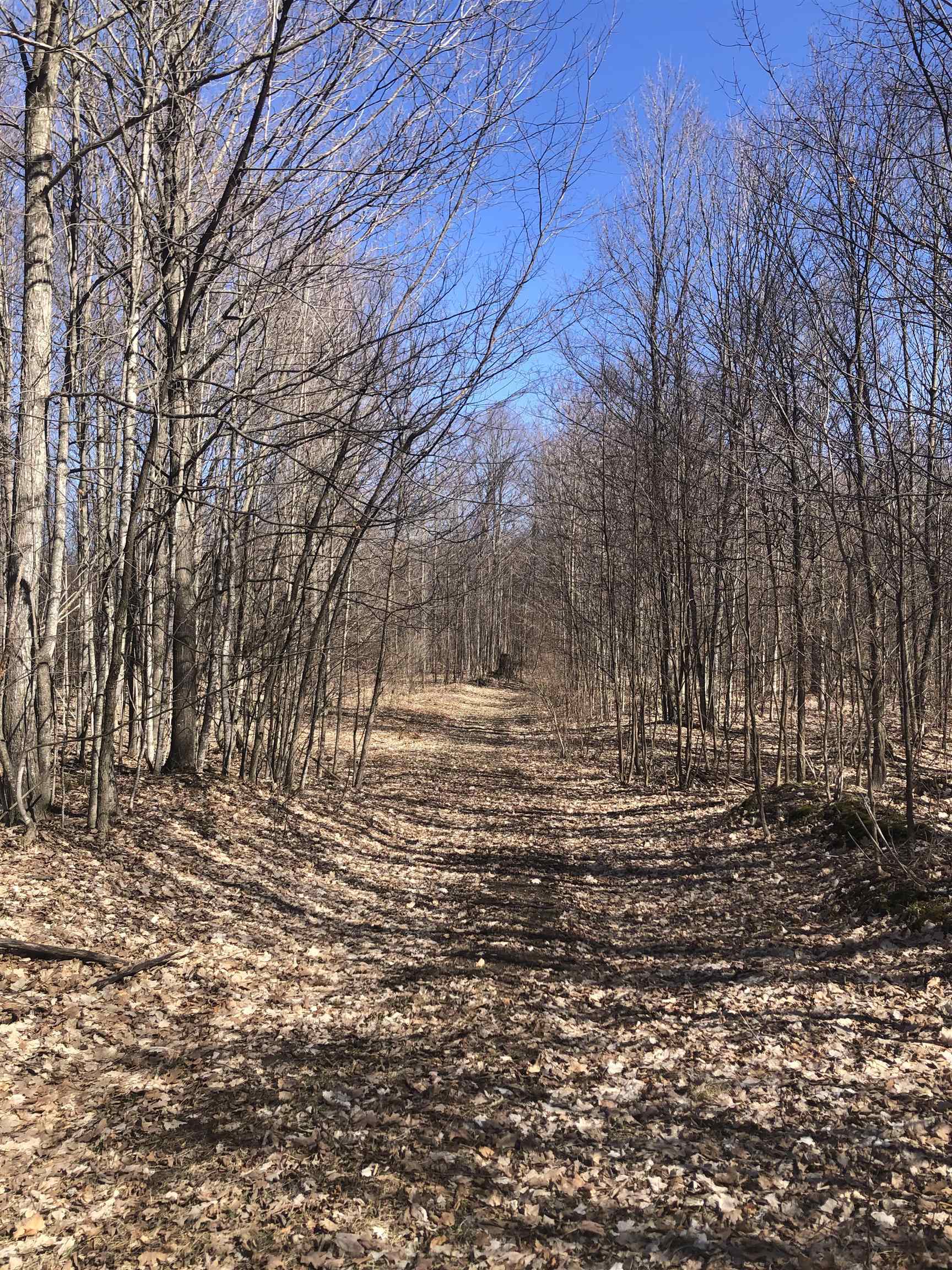 9 South 9 Mile Road Copemish, MI 49625 - Photo 10 of 35