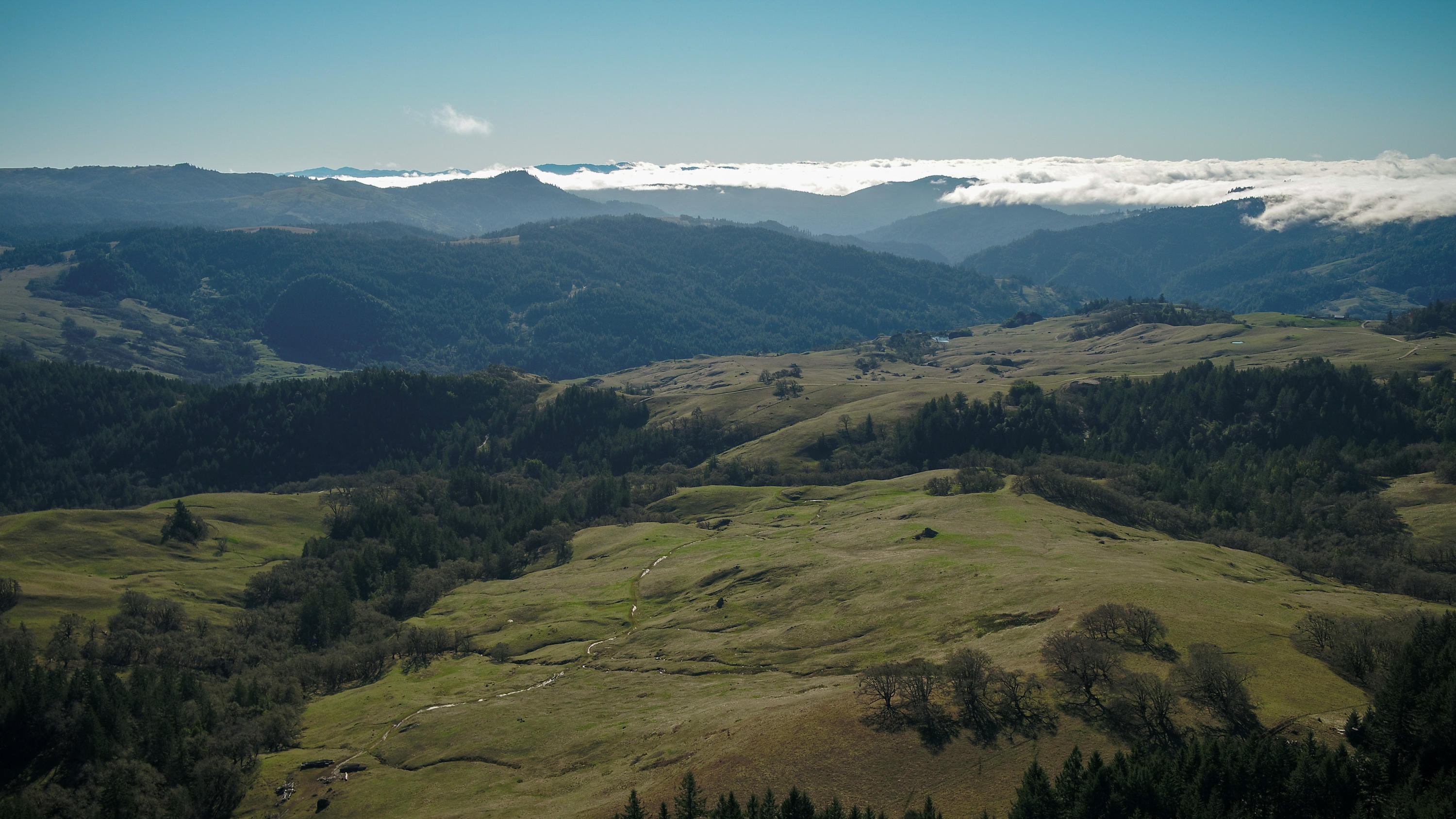 160-acres Butte Creek Road Kneeland, CA 95549 - Photo 44 of 56
