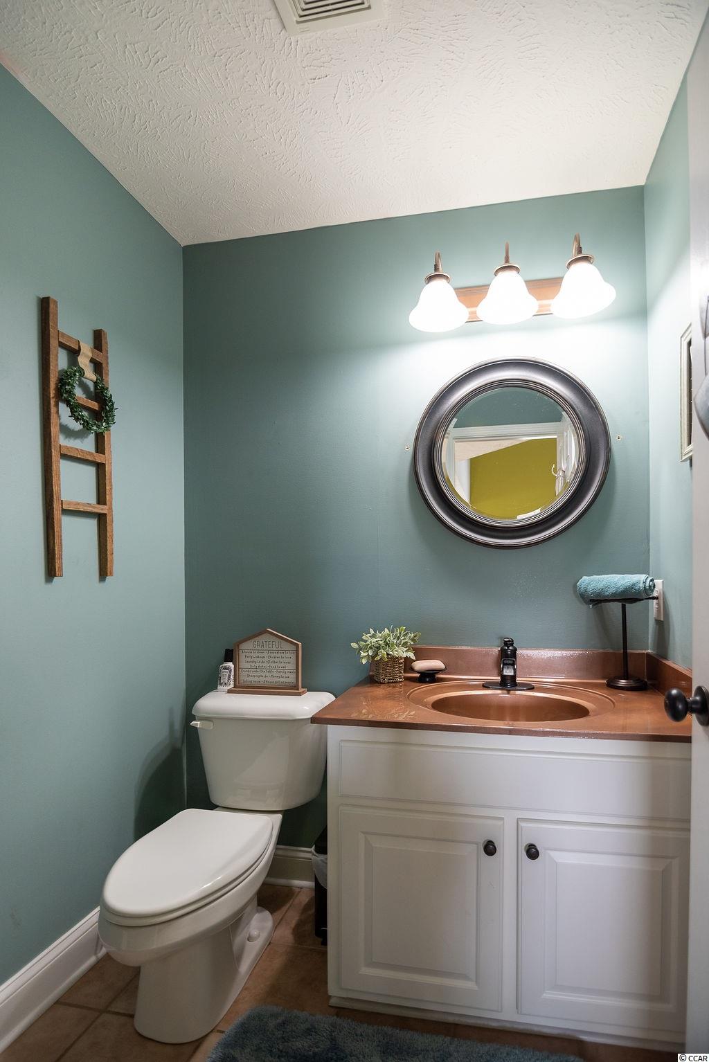 993 Brunson Springs Road Galivants Ferry, SC 29544 - Photo 18 of 40 Gallery Image 18