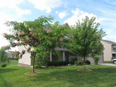 372 Winton Road Versailles, KY 40383 - Photo 2 of 22 Photo 2