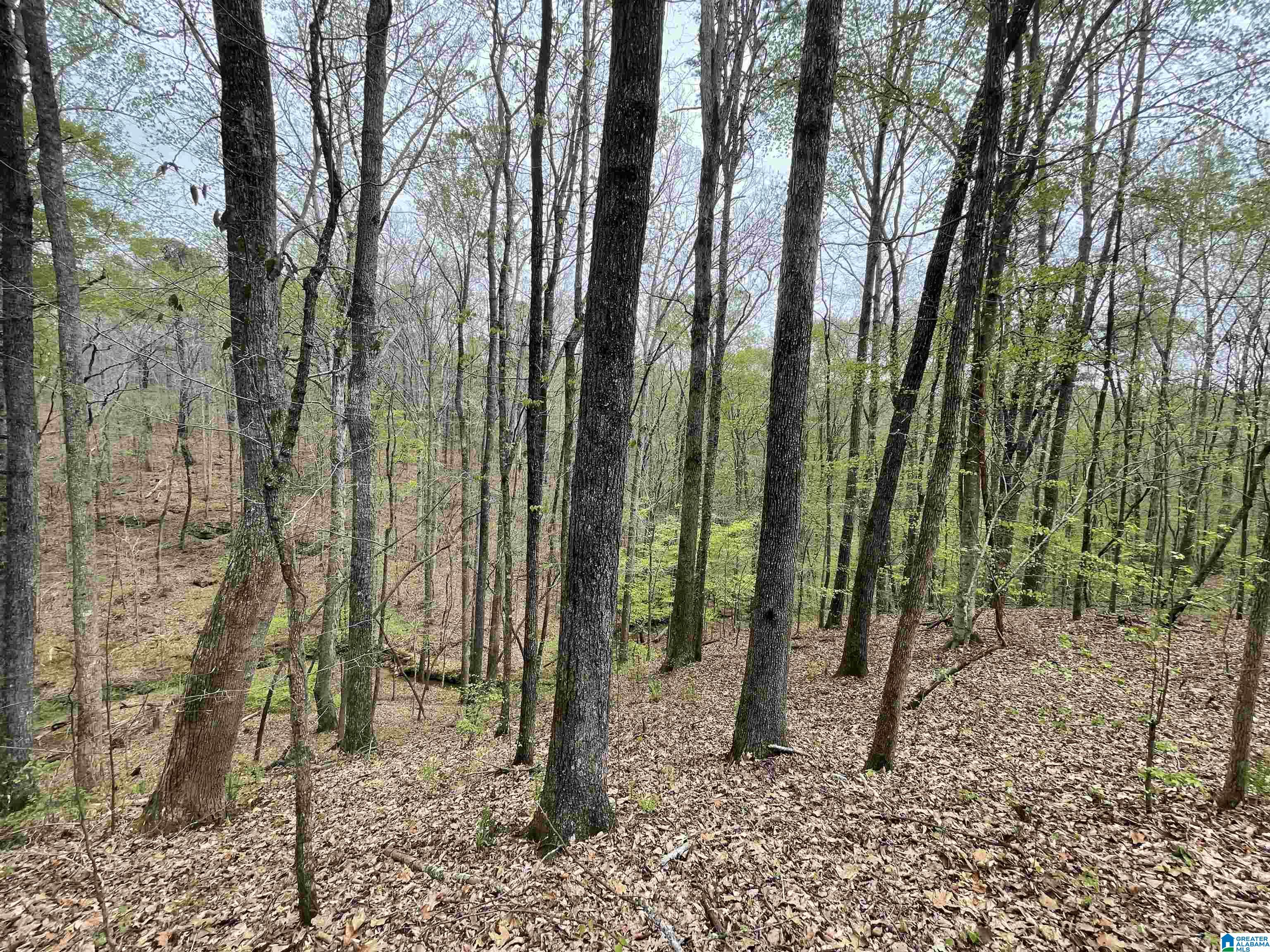 212 Pebble Lane Hayden, AL 35079 - Photo 30 of 33
