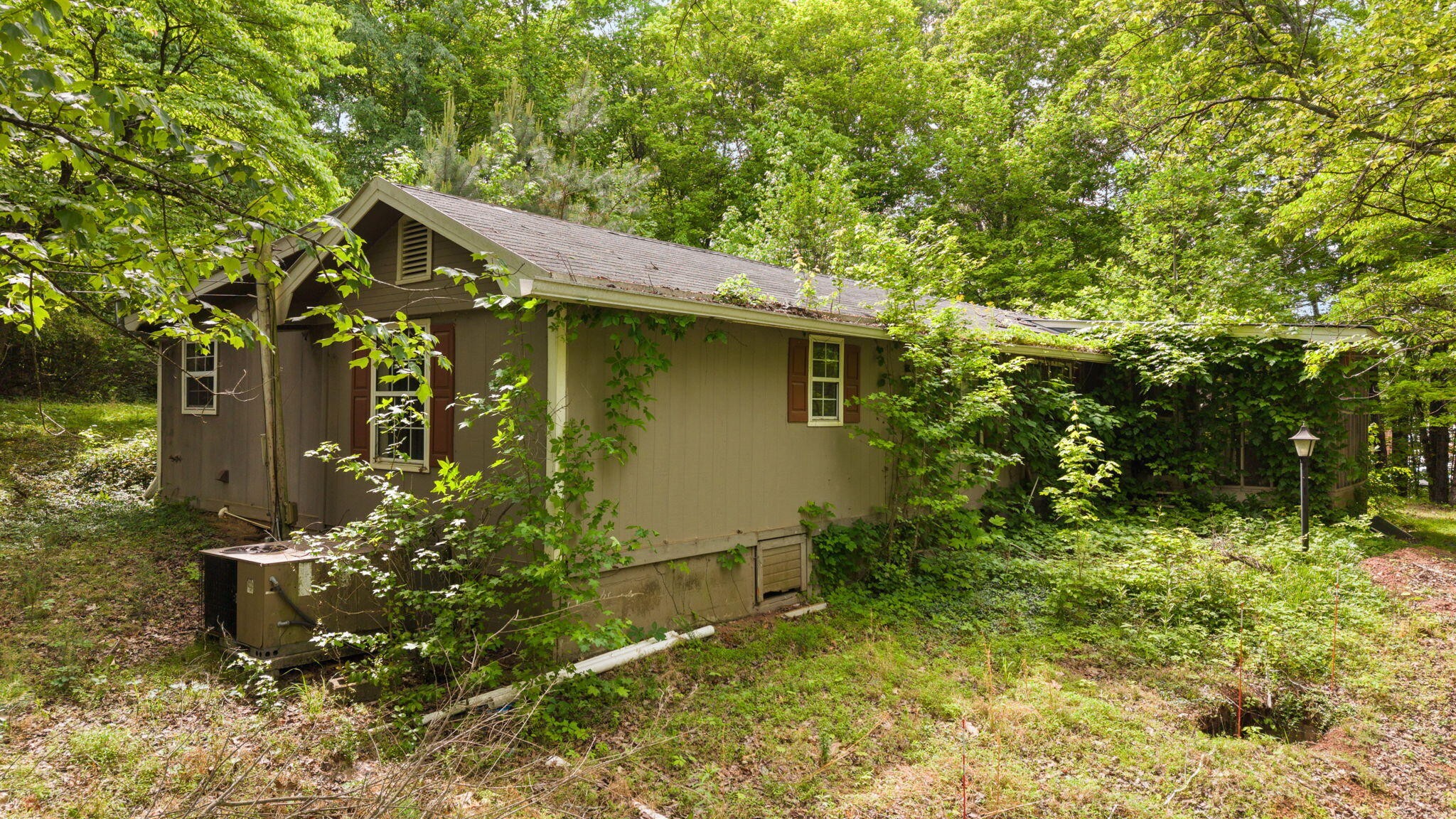 3414 No Pone Road Northwest Georgetown, TN 37336 - Photo 5 of 30 a backyard of a house with lots of green space