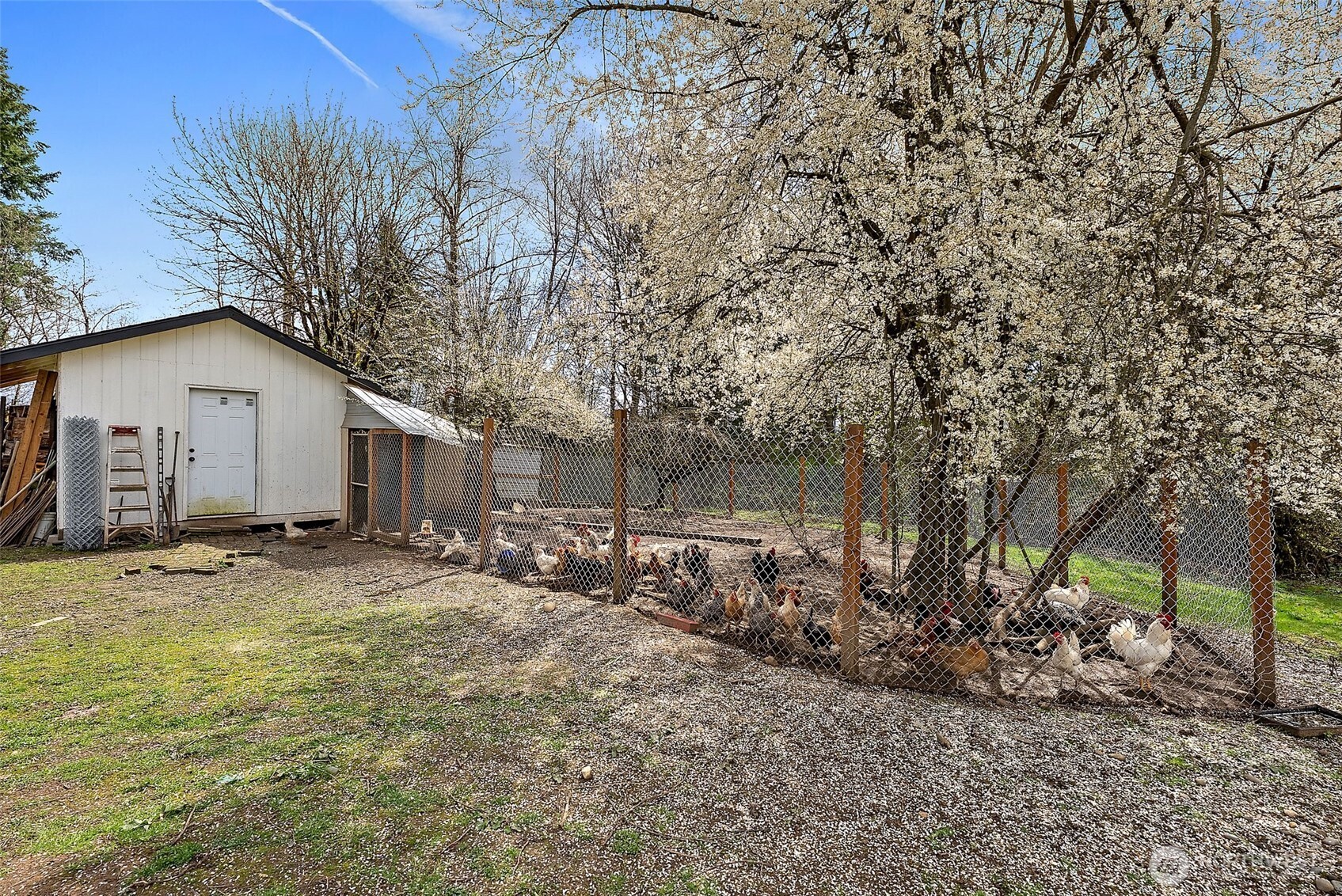 4309 Maytown Road Southwest Olympia, WA 98512 - Photo 29 of 34