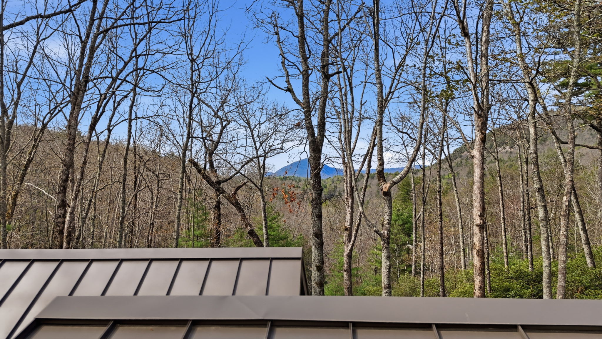 110 View Road Sapphire, NC 28774 - Photo 77 of 81 Gallery Image 77