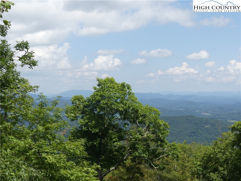 Lot D Fire Tower Road Boone, NC 28607 - Photo 15 of 15 Gallery Image 15