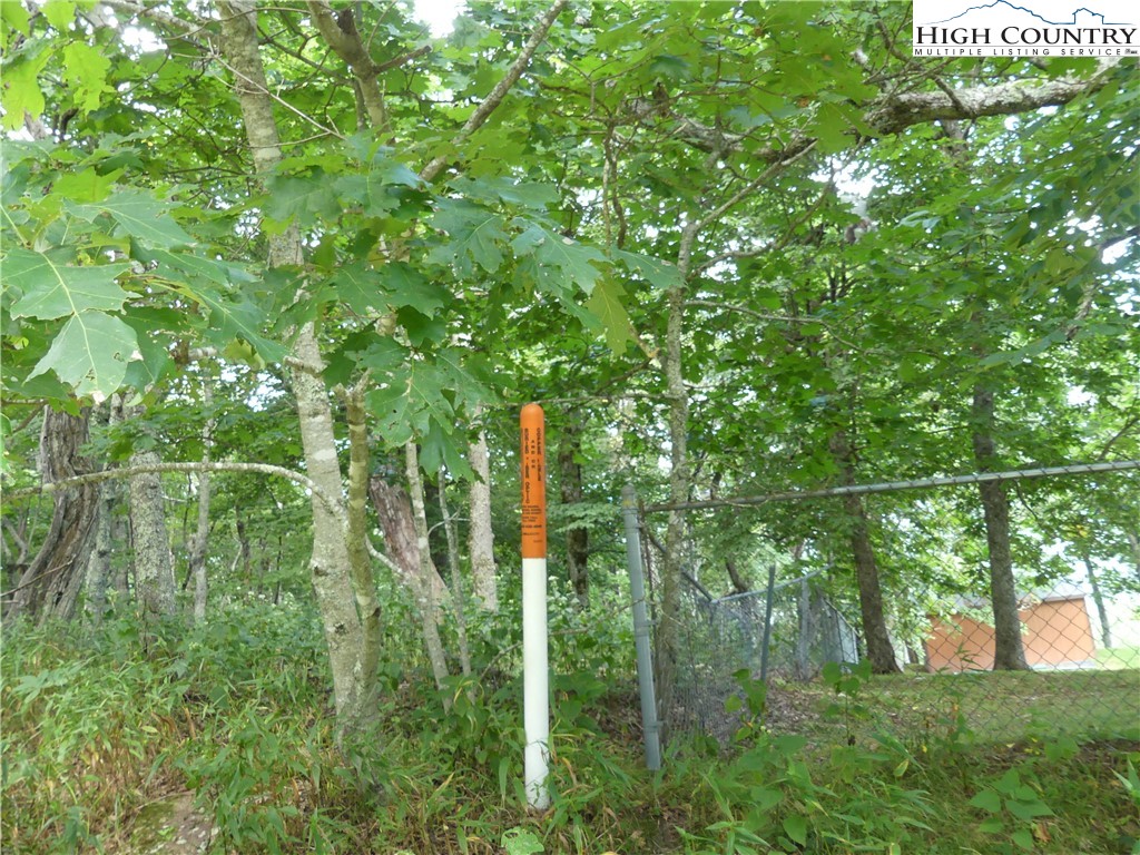Lot D Fire Tower Road Boone, NC 28607 - Photo 10 of 15 Gallery Image 10