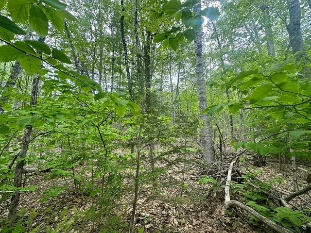 $295,000 | Lot #15 Greenacre Road, Lincolnville, ME 04849